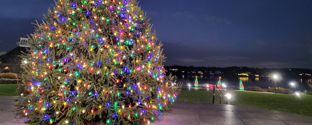 holiday lights and Christmas tree by the river